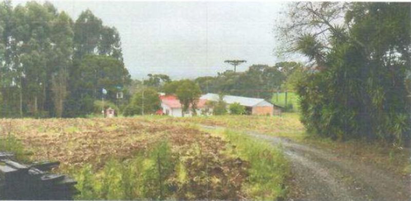 Áreas Rurais com 126.990m², localizado em Caçador - SC