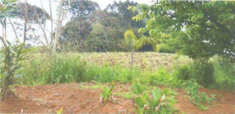 Áreas Rurais com 126.990m², localizado em Caçador - SC