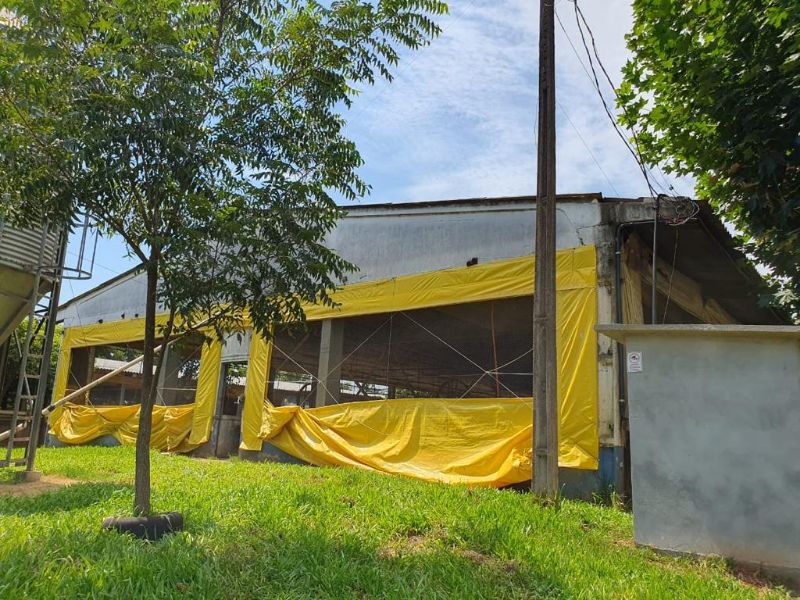 Terreno com granja de suínos, localizado em Marema - SC