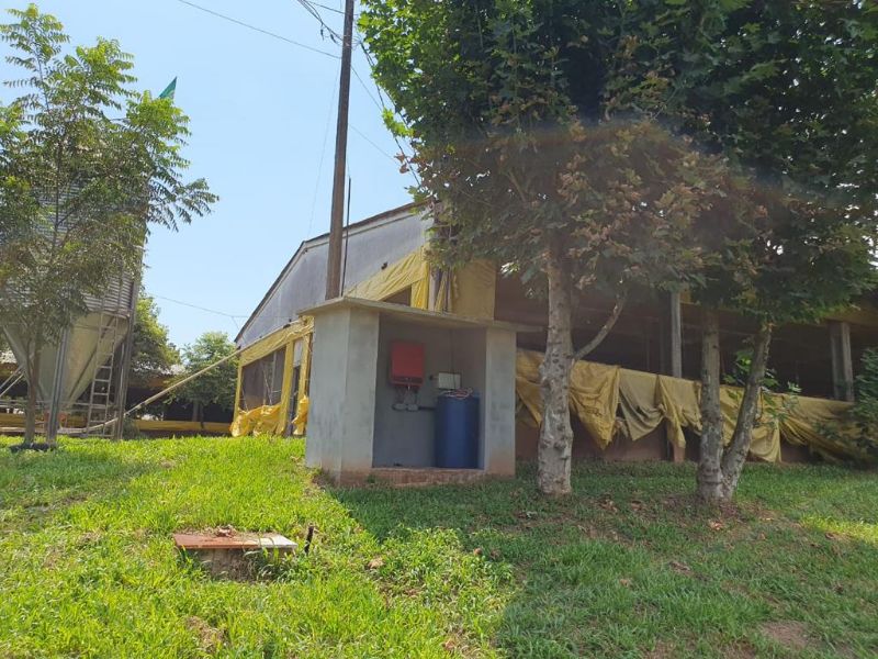Terreno com granja de suínos, localizado em Marema - SC