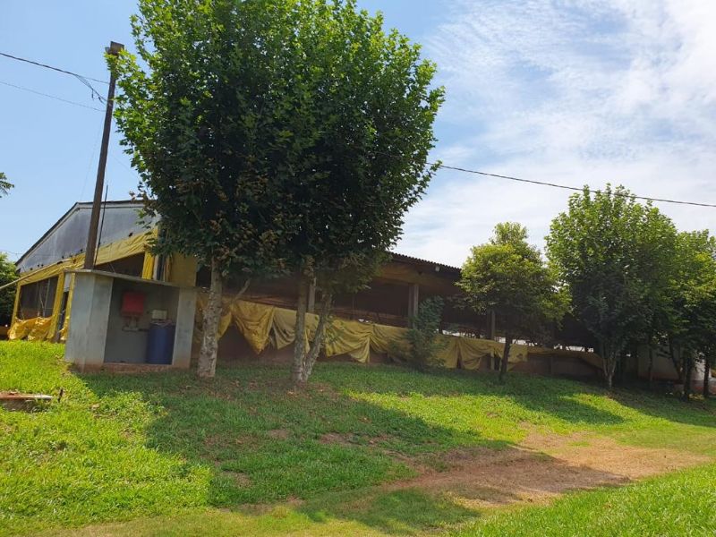 Terreno com granja de suínos, localizado em Marema - SC