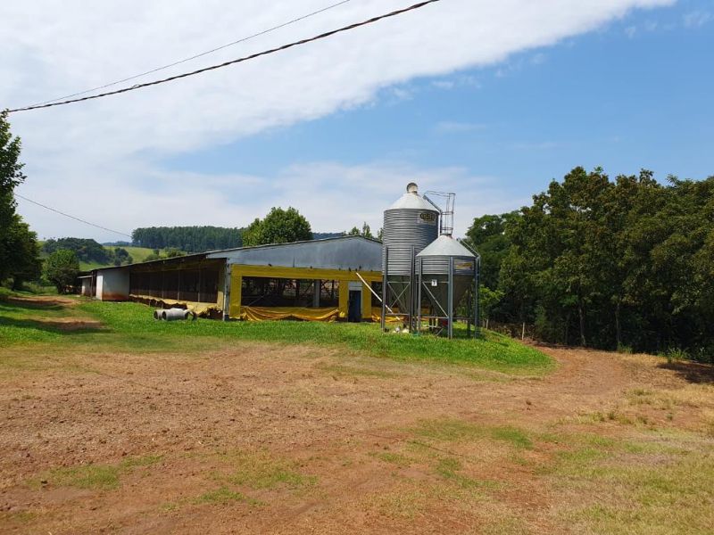 Terreno com granja de suínos, localizado em Marema - SC