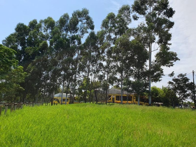 Terreno com granja de suínos, localizado em Marema - SC