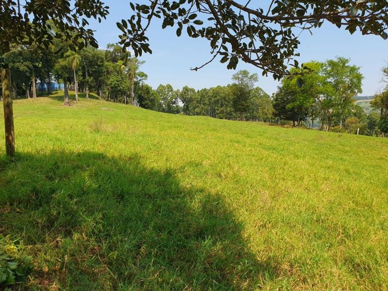 Terreno com granja de suínos, localizado em Marema - SC