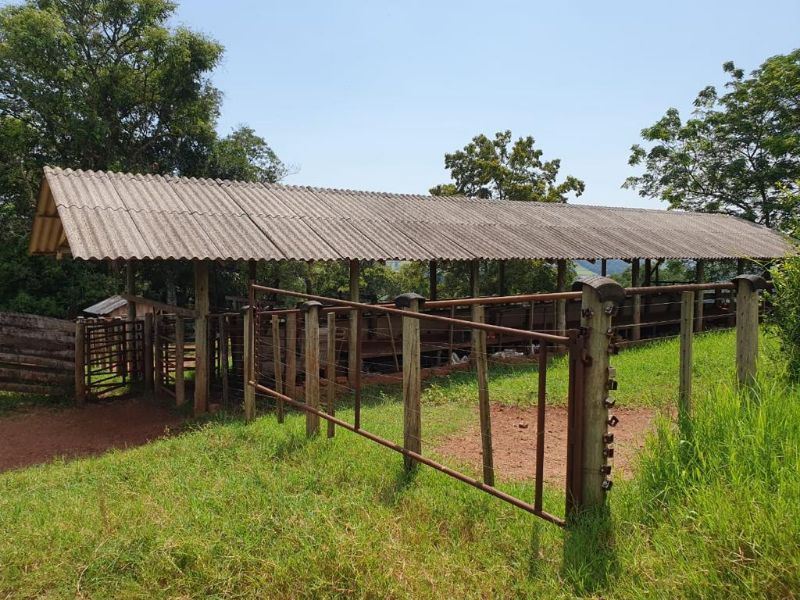 Terreno com granja de suínos, localizado em Marema - SC