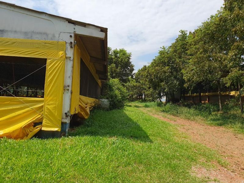 Terreno com granja de suínos, localizado em Marema - SC