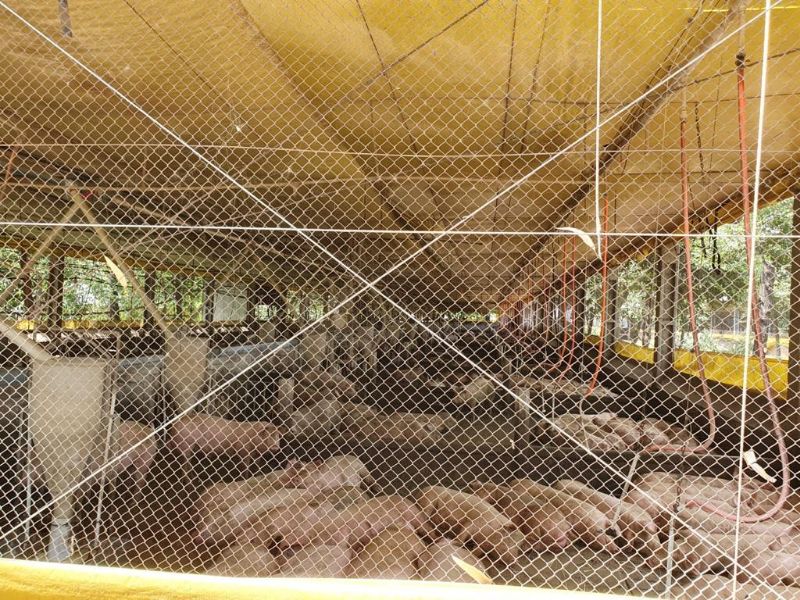 Terreno com granja de suínos, localizado em Marema - SC