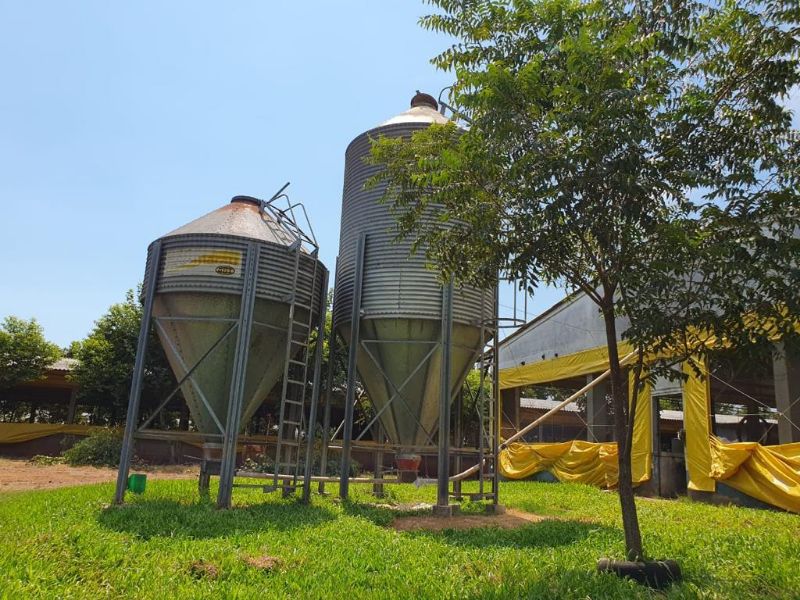 Terreno com granja de suínos, localizado em Marema - SC