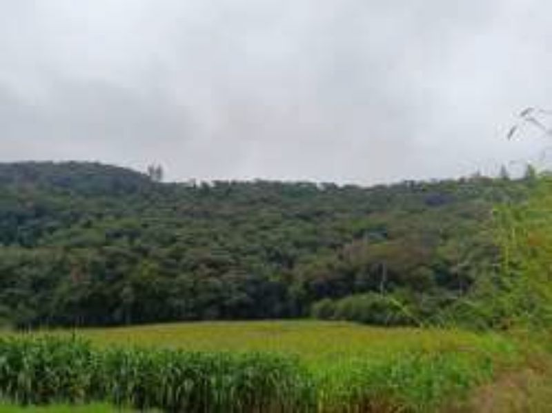 Terreno Rural com 46.500,00m², Rio Engano, localizado em Itá - SC