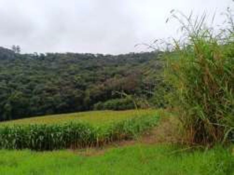 Terreno Rural com 46.500,00m², Rio Engano, localizado em Itá - SC