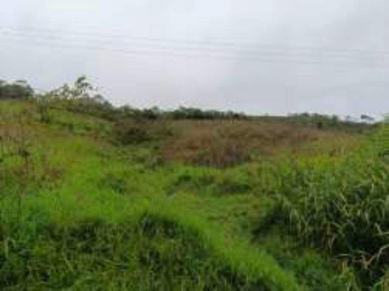 Terreno Rural com 46.500,00m², Rio Engano, localizado em Itá - SC
