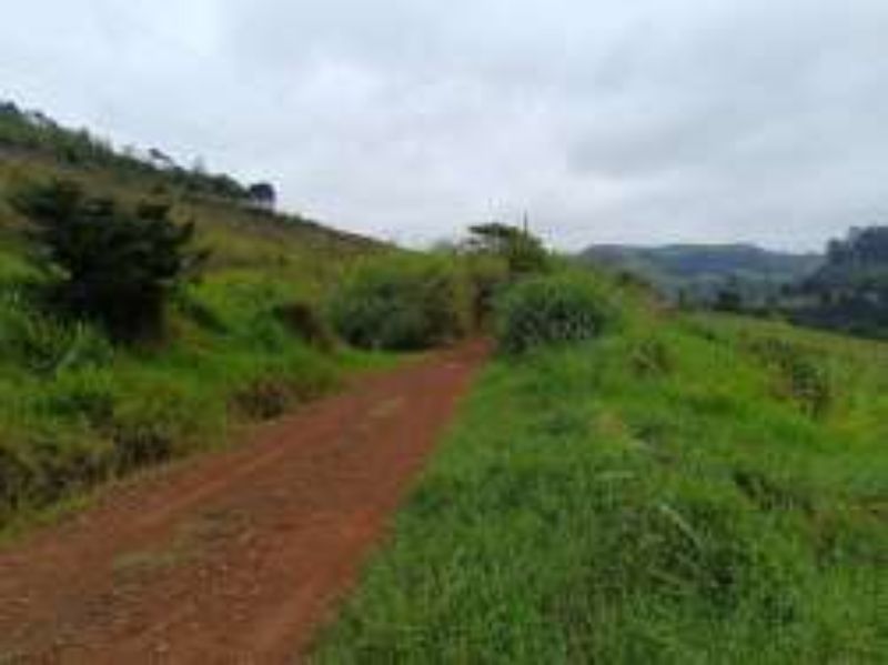 Terreno Rural com 46.500,00m², Rio Engano, localizado em Itá - SC