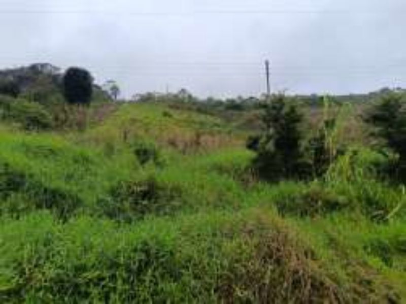 Terreno Rural com 46.500,00m², Rio Engano, localizado em Itá - SC