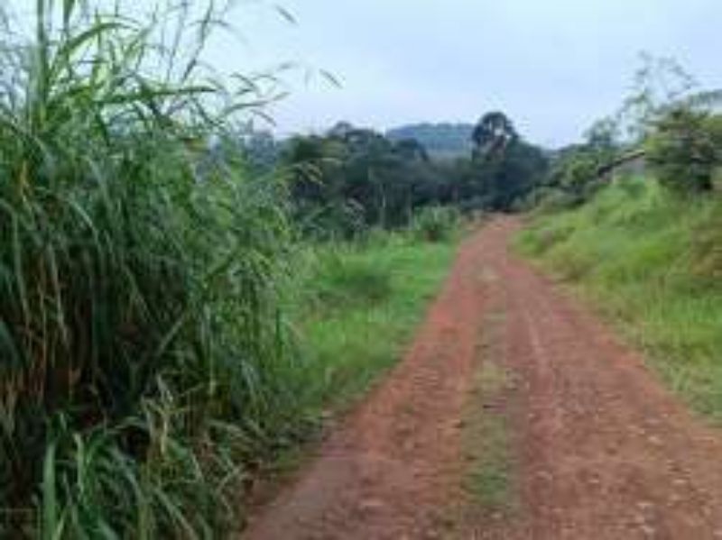 Terreno Rural com 46.500,00m², Rio Engano, localizado em Itá - SC