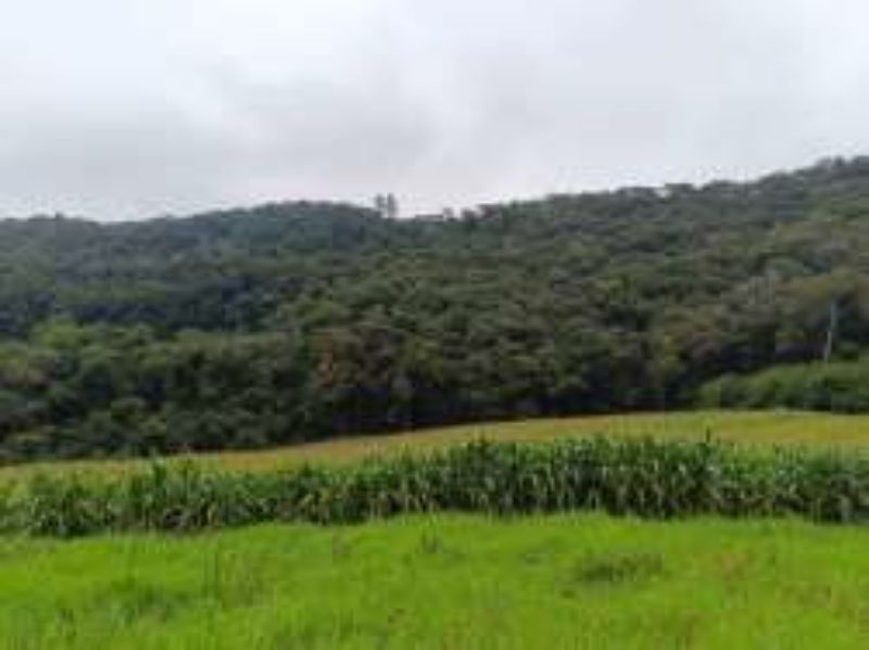 Terreno Rural com 46.500,00m², Rio Engano, localizado em Itá - SC