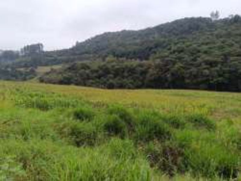 Terreno Rural com 46.500,00m², Rio Engano, localizado em Itá - SC