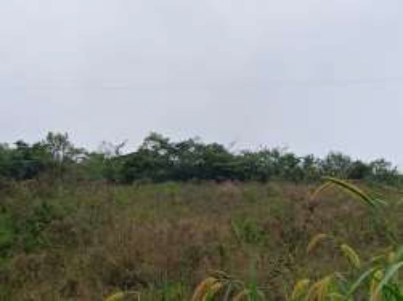 Terreno Rural com 46.500,00m², Rio Engano, localizado em Itá - SC