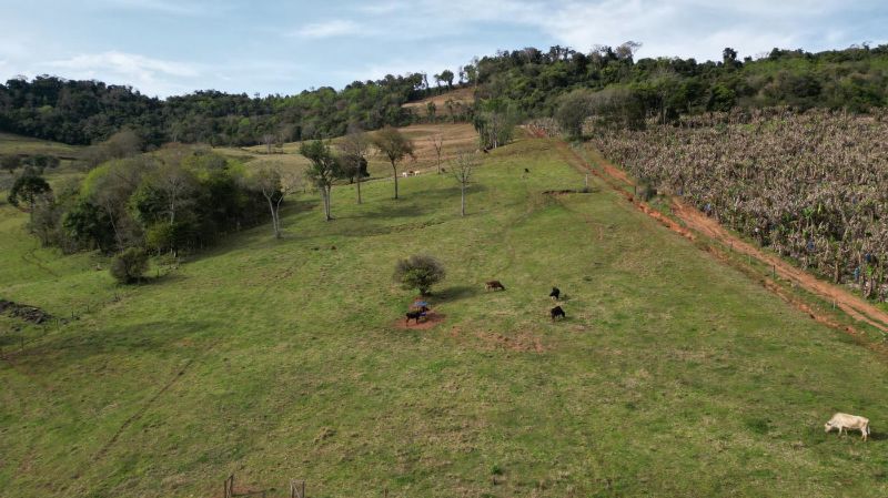 Terreno Rural com 30.000 m² em Piratuba/SC, localizado em Piratuba - SC