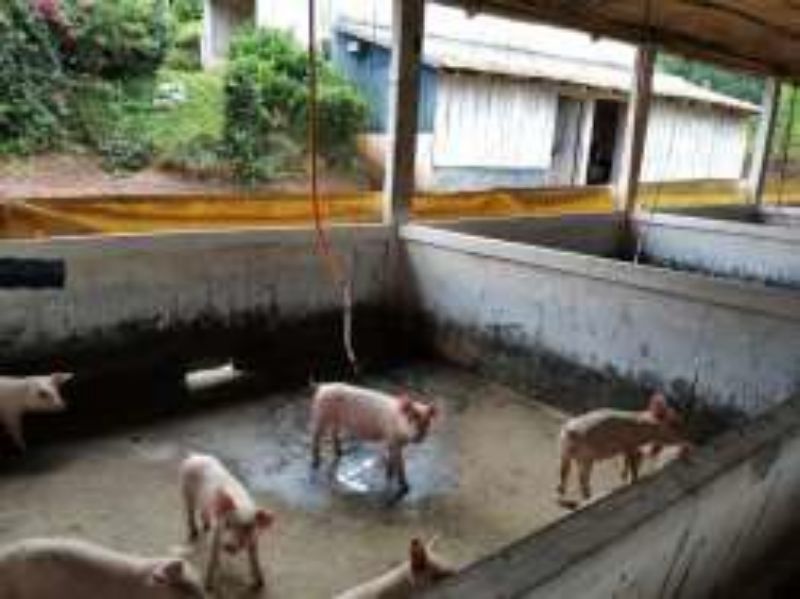 Terreno Rural com 311.241,92m² em Alto Cascalho, localizado em Irani - SC