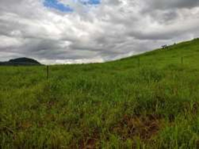 Terreno Rural com 311.241,92m² em Alto Cascalho, localizado em Irani - SC