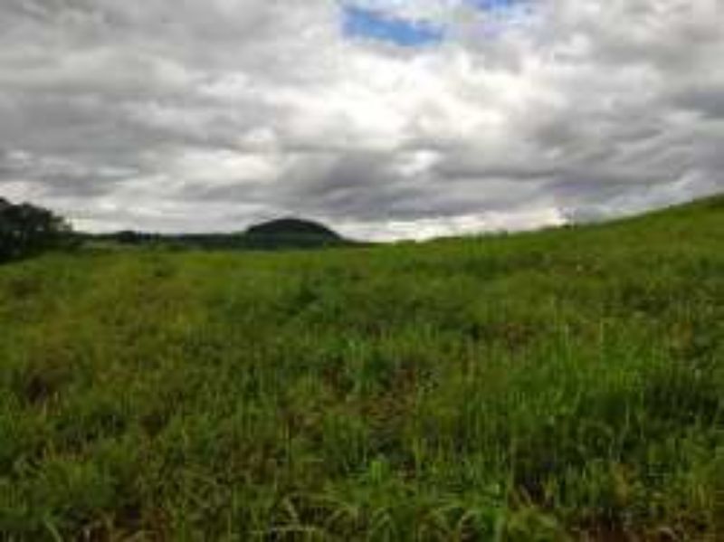 Terreno Rural com 311.241,92m² em Alto Cascalho, localizado em Irani - SC