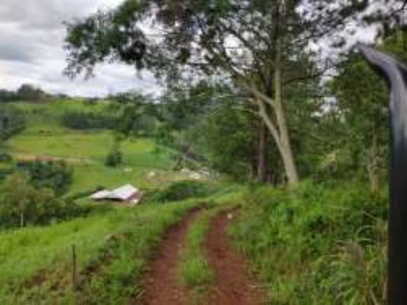 Terreno Rural com 311.241,92m² em Alto Cascalho, localizado em Irani - SC