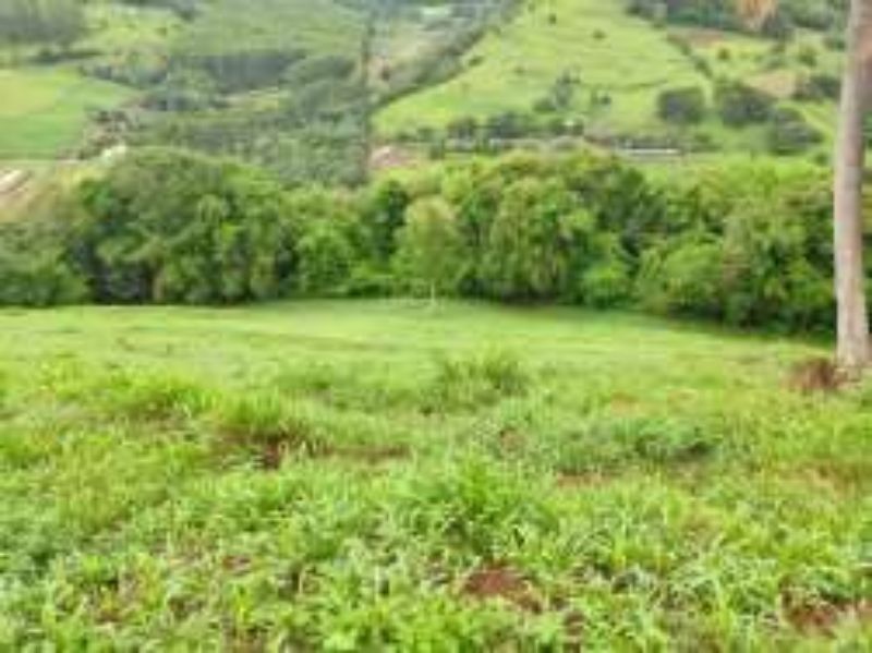 Terreno Rural com 311.241,92m² em Alto Cascalho, localizado em Irani - SC