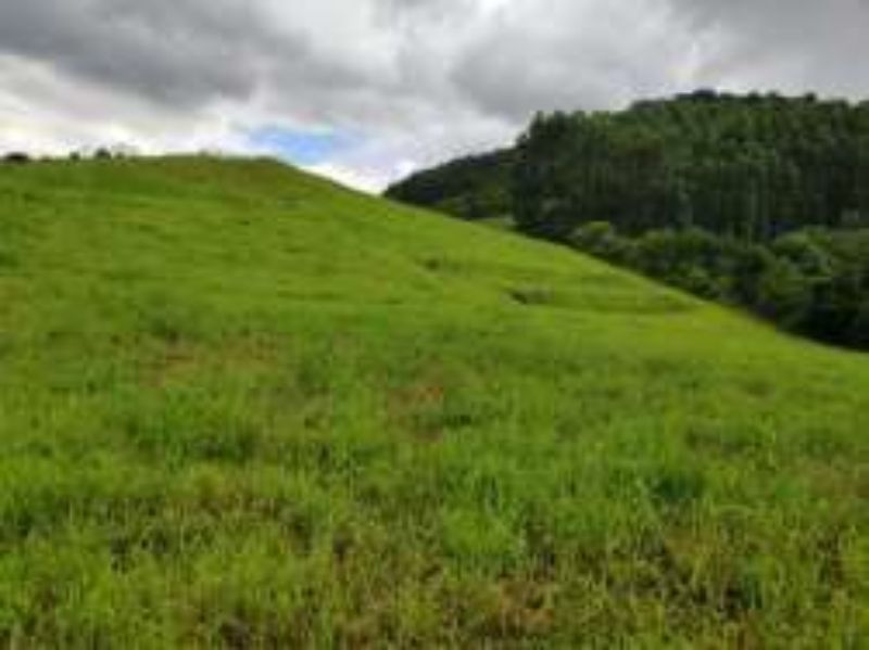 Terreno Rural com 311.241,92m² em Alto Cascalho, localizado em Irani - SC