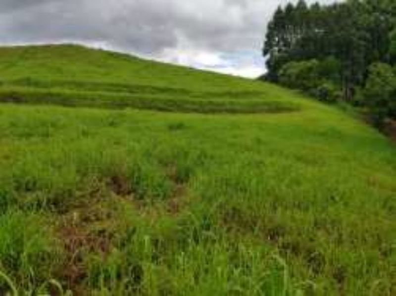 Terreno Rural com 311.241,92m² em Alto Cascalho, localizado em Irani - SC