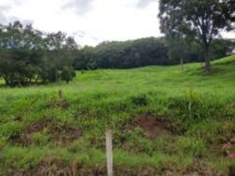Terreno Rural com 311.241,92m² em Alto Cascalho, localizado em Irani - SC