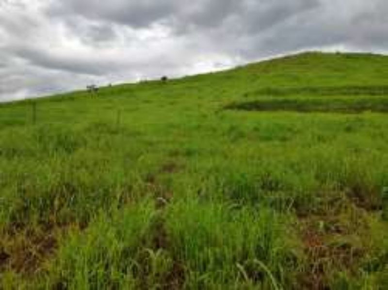 Terreno Rural com 311.241,92m² em Alto Cascalho, localizado em Irani - SC