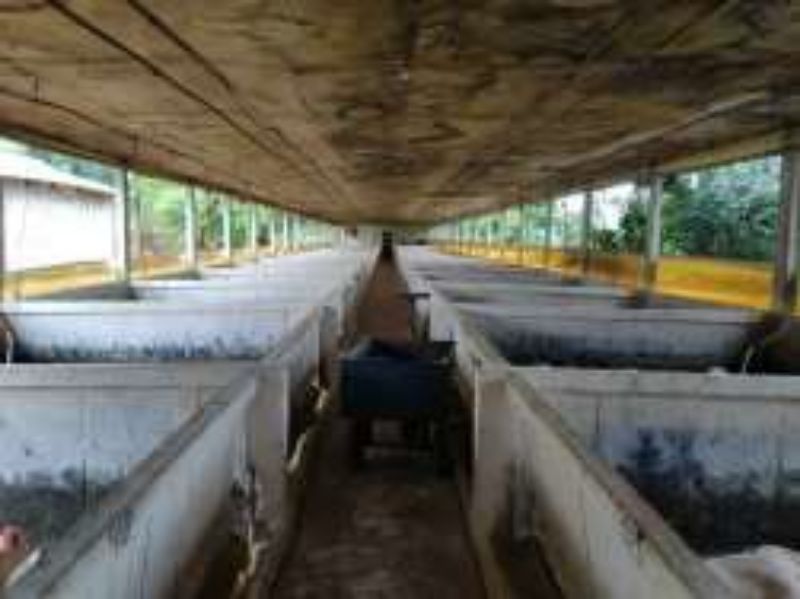 Terreno Rural com 311.241,92m² em Alto Cascalho, localizado em Irani - SC