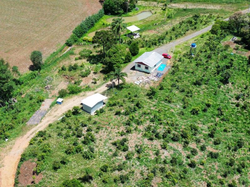 Terreno Rural, as margens da SC 355 em Jaborá/SC, localizado em Jaborá - SC
