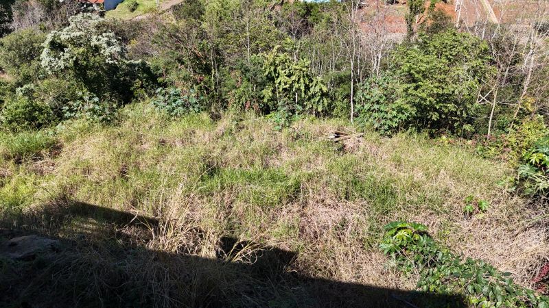 Terreno com casa em Palmitos/SC, localizado em Palmitos - SC