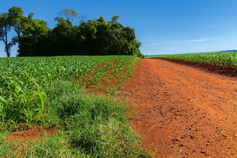 Terreno Rural com 42.166,66m² em Giruá/RS, localizado em Giruá - RS