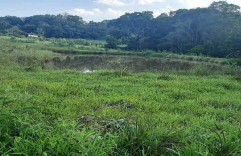 Terreno Rural com 216.995,00 m² em Linha Lamb, localizado em Bom Jesus Do Oeste - SC