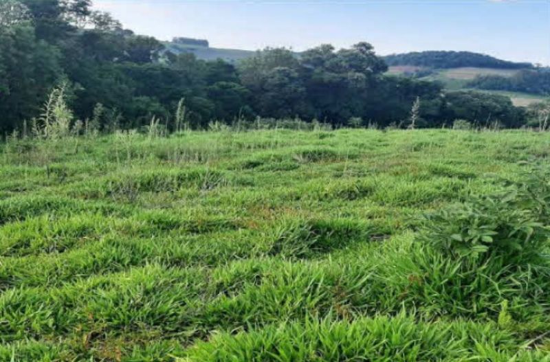 Terreno Rural com 216.995,00 m² em Linha Lamb, localizado em Bom Jesus Do Oeste - SC