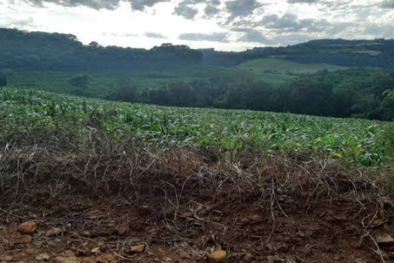 Terreno Rural com 216.995,00 m² em Linha Lamb, localizado em Bom Jesus Do Oeste - SC