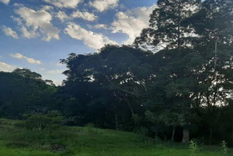 Terreno Rural com 216.995,00 m² em Linha Lamb, localizado em Bom Jesus Do Oeste - SC