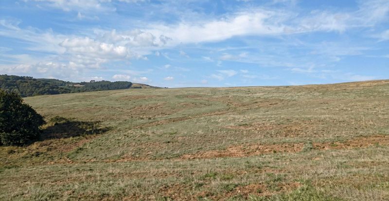 Terreno rural com 13,37 hectares, localizado em Saltinho - SC