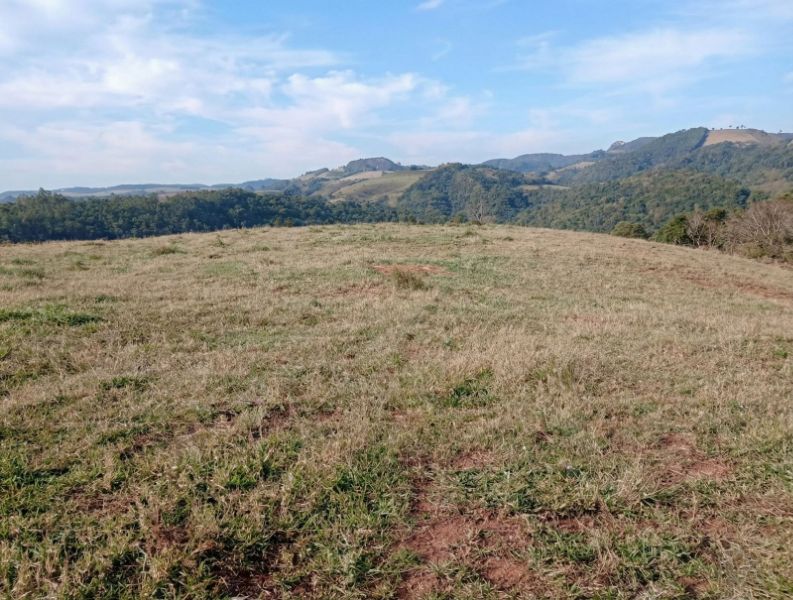 Terreno rural com 13,37 hectares, localizado em Saltinho - SC