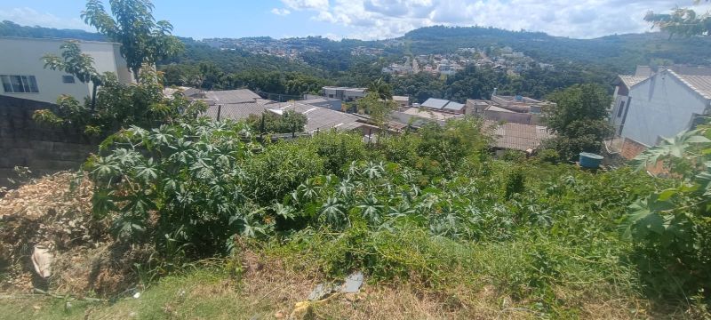 Terreno com 387 m² no Bairro Vista Alegre, localizado em Concórdia - SC, bairro Vista Alegre