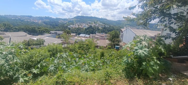 Terreno com 387 m² no Bairro Vista Alegre, localizado em Concórdia - SC, bairro Vista Alegre