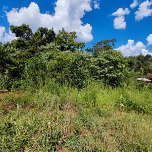 Terreno Urbano com 1.800m² em Constantina/RS, localizado em Constantina - RS