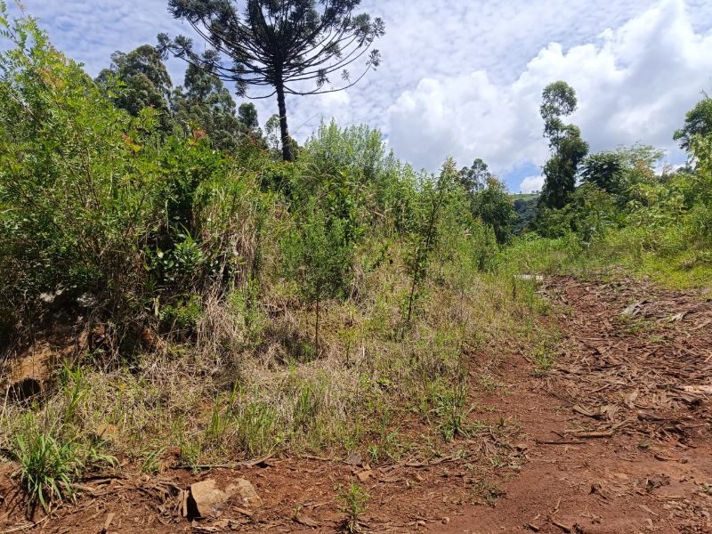 Terreno rural com 40.000m² em Serra Alta, Arabutã, localizado em Arabutã - SC