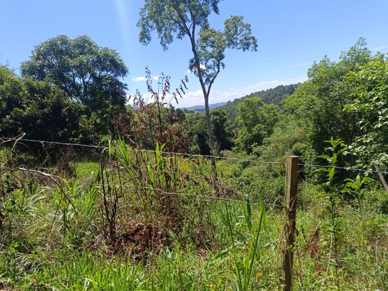 Terreno rural com 40.000m² em Serra Alta, Arabutã, localizado em Arabutã - SC