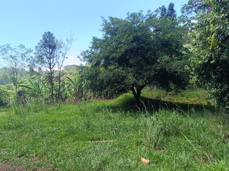 Terreno rural com 40.000m² em Serra Alta, Arabutã, localizado em Arabutã - SC