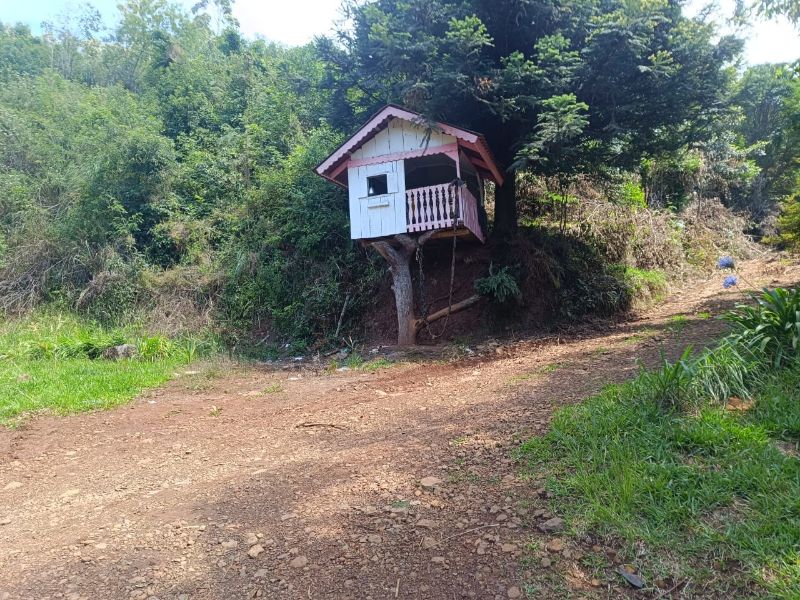 Terreno rural com 40.000m² em Serra Alta, Arabutã, localizado em Arabutã - SC