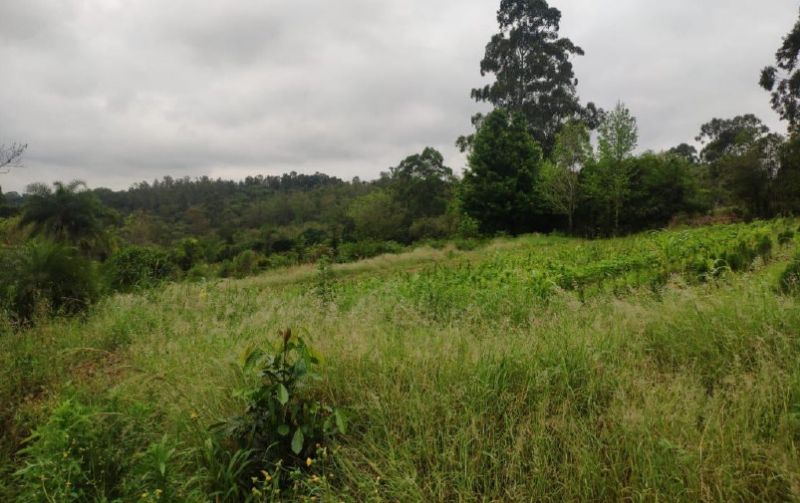 GLEBA URBANA COM ÁEREA DE 18.271,45 m², localizado em Pareci Novo - RS