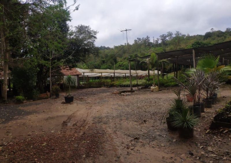 GLEBA URBANA COM ÁEREA DE 18.271,45 m², localizado em Pareci Novo - RS